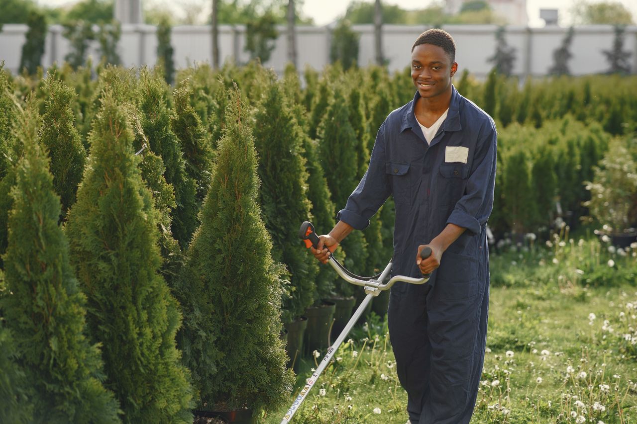 about-img A joyful gardener wears a jumpsuit while trimming greenery in a tree nursery.