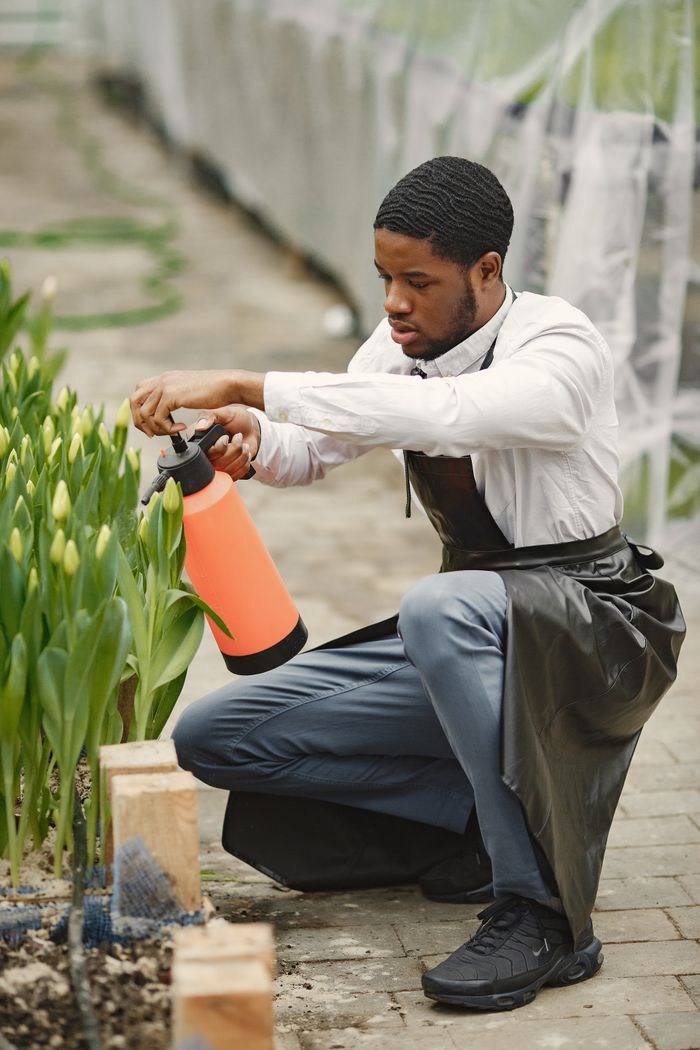 services-04 A man in an apron takes care of plants inside a greenhouse, using a vibrant orange watering can.
